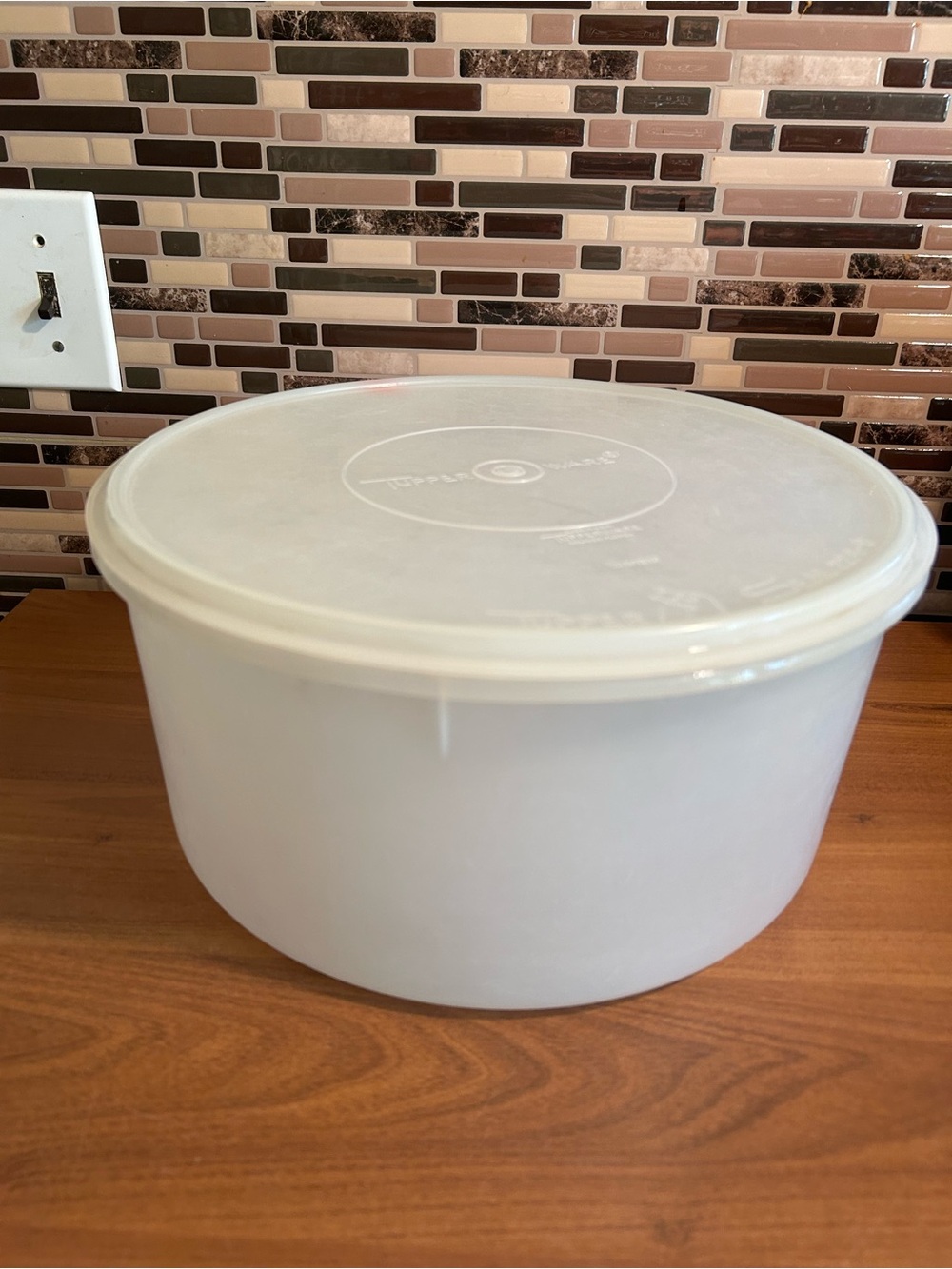 Vintage Tupperware Millionaire Carry All Food Storage Container with Lid -